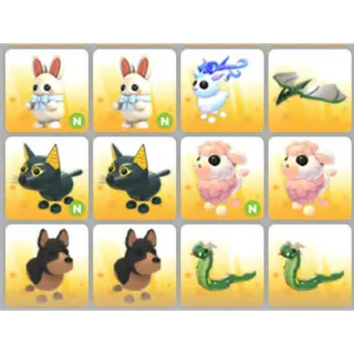 BUNDLE PET X12