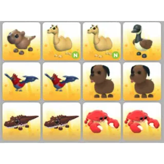 BUNDLE PET X12