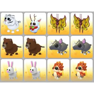 BUNDLE PET X12