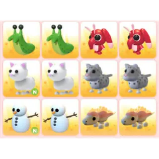 BUNDLE PET X12