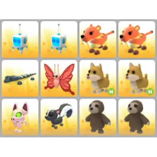 BUNDLE PET X12