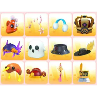 BUNDLE PET WEAR X12