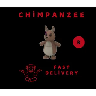 KANGAROO R
