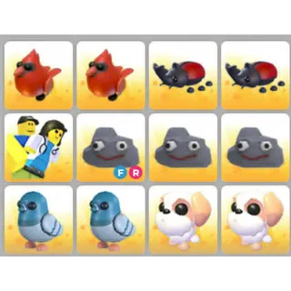 BUNDLE PET X12