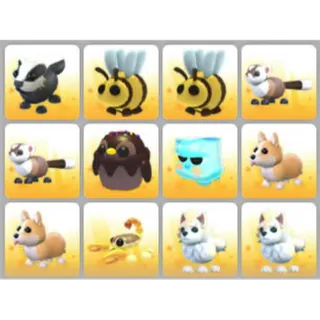 BUNDLE PET X12