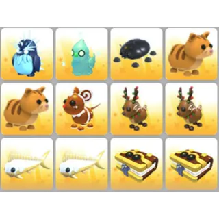 BUNDLE PET X12
