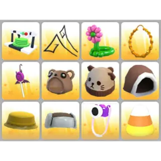 BUNDLE PET WEAR X12