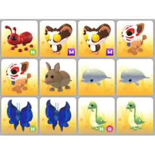BUNDLE PET X12