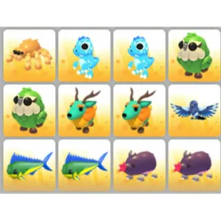 BUNDLE PET X12