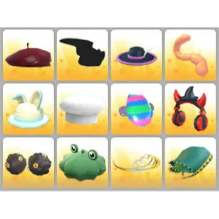 BUNDLE PET WEAR X12