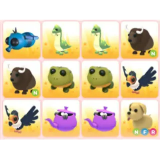 BUNDLE PET X12