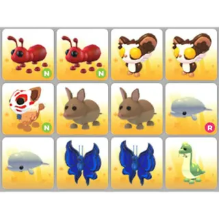 BUNDLE PET X12