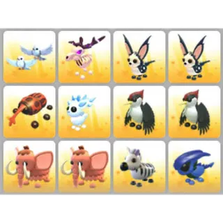 BUNDLE PET X12