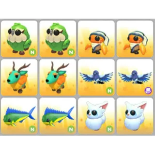 BUNDLE PET X12