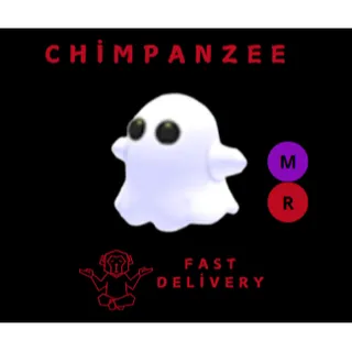 GHOST MR