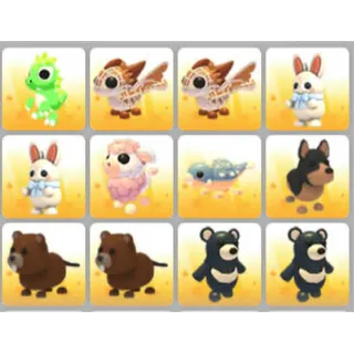 BUNDLE PET X12