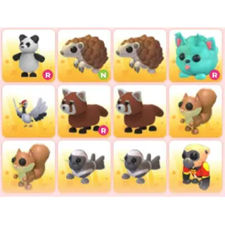 BUNDLE PET X12