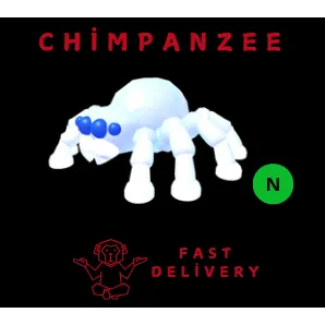 chilling spider neon