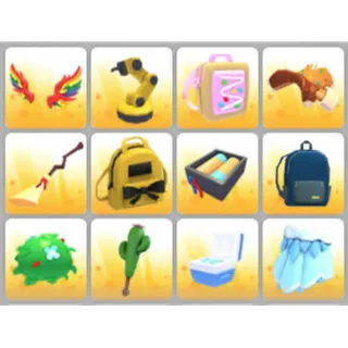 BUNDLE PET WEAR X12