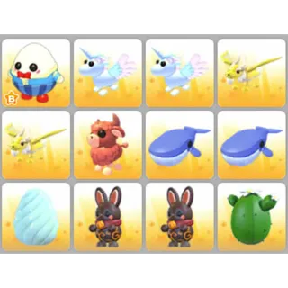 BUNDLE PET X12