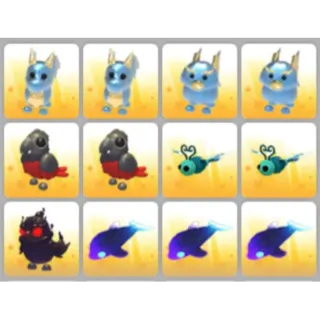 BUNDLE PET X12