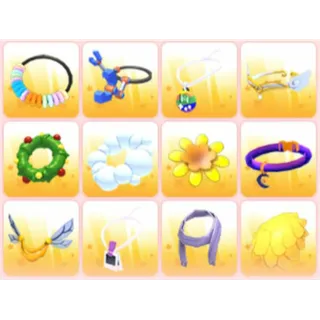 BUNDLE PET WEAR X12