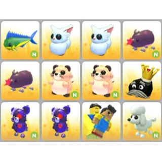 BUNDLE PET X12