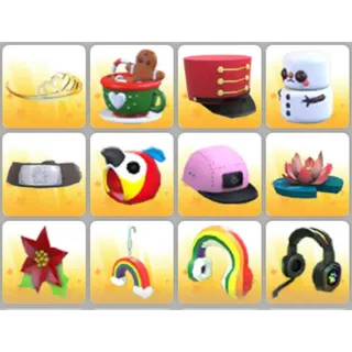 BUNDLE PET WEAR X12