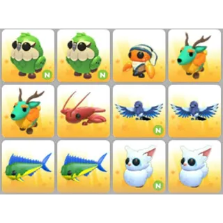 BUNDLE PET X12