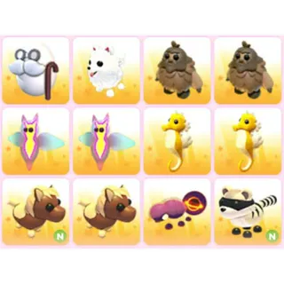 BUNDLE PET X12