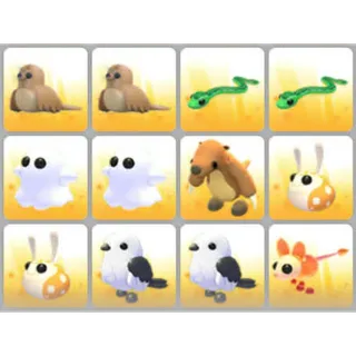 BUNDLE PET X12