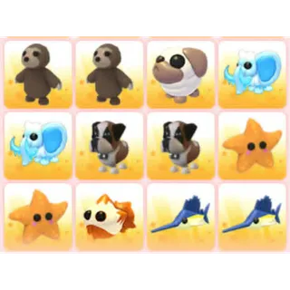 BUNDLE PET X12