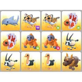 BUNDLE PET X12