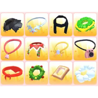 BUNDLE PET WEAR X12