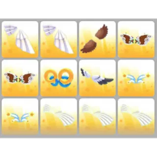 BUNDLE PET WEAR X12