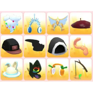 BUNDLE PET WEAR X12