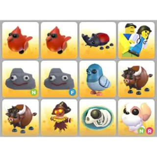 BUNDLE PET X12