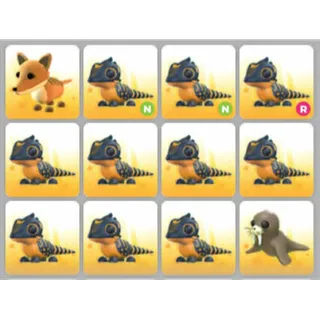 BUNDLE PET X12