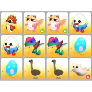 BUNDLE PET X12