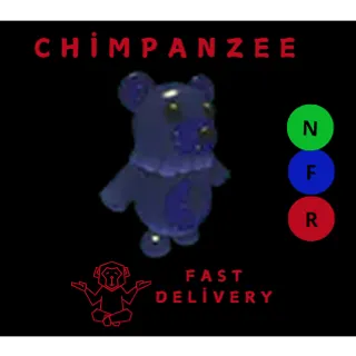 LUNAR MOON BEAR NFR
