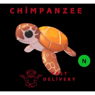 SEA TURTLE NEON