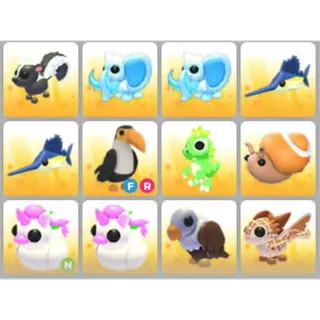 BUNDLE PET X12