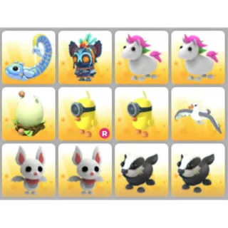 BUNDLE PET X12