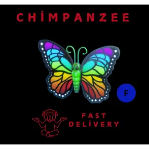 PRISMATIC BUTTERFLY F