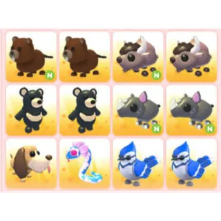 BUNDLE PET X12
