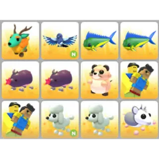 BUNDLE PET X12
