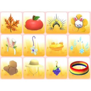 BUNDLE PET WEAR X12