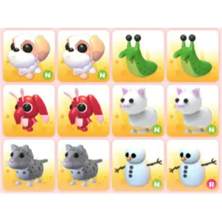 BUNDLE PET X12