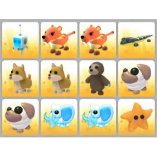 BUNDLE PET X12