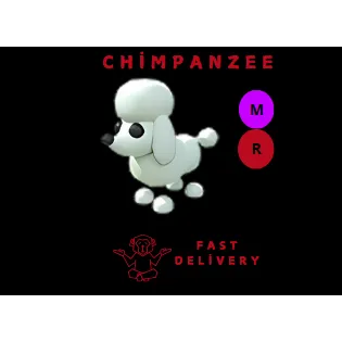 POODLE MR